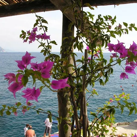 Costa D'amalfi לינה וארוחת בוקר אמאלפי